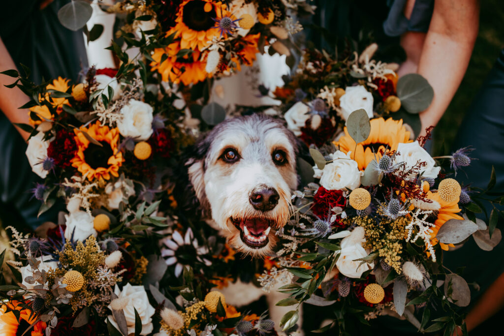Wedding detail photography Red Deer Alberta — rings and florals by Calgary wedding photographer Leah Tyler-Szucki